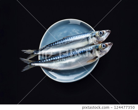 沙丁魚-鮮魚系列 124477350