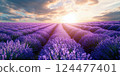 Sunrise over of a lavender field. Ai generated. 124477401