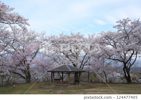 Okusa Castle Ruins Park (Kamiina District, Nagano Prefecture) Okusa Castle Ruins Park (Kamiina District, Nagano Prefecture) 124477405