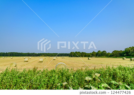 Straw roll and a straight road 124477426