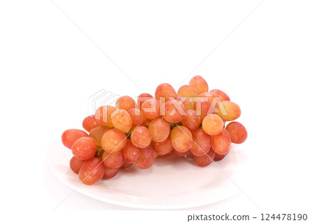 開吉葡萄, 葡萄, 山梨縣, 紅葡萄, 淺色背景 開吉葡萄, 葡萄, 山梨縣, 紅葡萄, 淺色背景 124478190