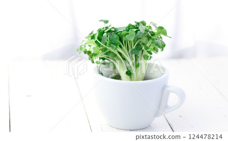 注意：蘿蔔蘿蔔 124478214