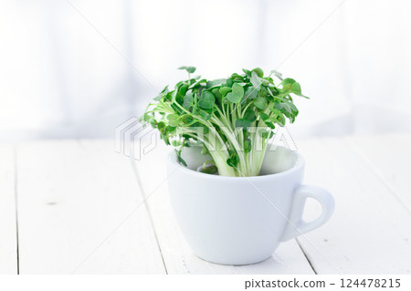 注意:蘿蔔蘿蔔 注意:蘿蔔蘿蔔 124478215