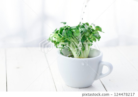 注意:蘿蔔蘿蔔 注意:蘿蔔蘿蔔 124478217
