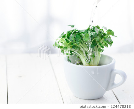 Caution: Daikon radish 124478218