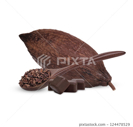 Fresh cocoa bean is processed into chocolate bars or concentrated cocoa isolated on white background Fresh cocoa bean is processed into chocolate bars or concentrated cocoa isolated on white background 124478529
