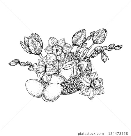 Vector illustration of an Easter basket filled with eggs, narcissus flowers, tulip buds, and pussy willow branches. Hand drawn in black and white ink style, ideal for spring-themed designs and prints. 124478558