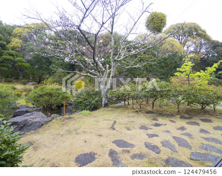 Spring at Hayama Shiosai Park 124479456