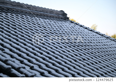 Snow piled on roof tiles 124479625