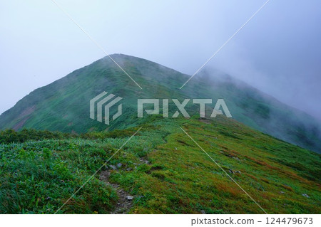 金山至龍門山的山脊 124479673