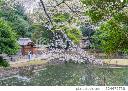 [Tokyo] Koishikawa Korakuen Garden, Inner Garden, Karamon Gate 124479730