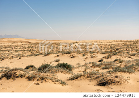 Chara sands and Kodar mountain range 124479915
