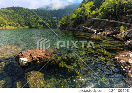 北八岳、二子池、大池的夏日風景 北八岳、二子池、大池的夏日風景 124480408