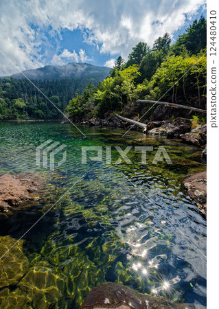 北八岳、二子池、大池的夏日風景 124480410