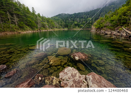 Summer scenery of the northern Yatsugatake mountains, Futagoike Pond and Oike Pond Summer scenery of the northern Yatsugatake mountains, Futagoike Pond and Oike Pond 124480468