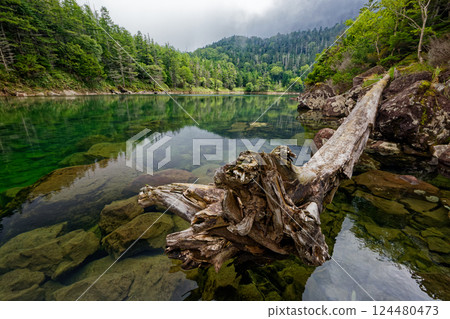 Summer scenery of the northern Yatsugatake mountains, Futagoike Pond and Oike Pond Summer scenery of the northern Yatsugatake mountains, Futagoike Pond and Oike Pond 124480473