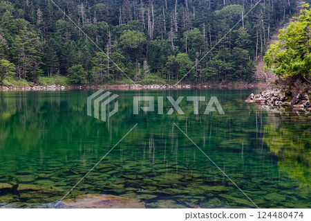 Summer scenery of the northern Yatsugatake mountains, Futagoike Pond and Oike Pond 124480474