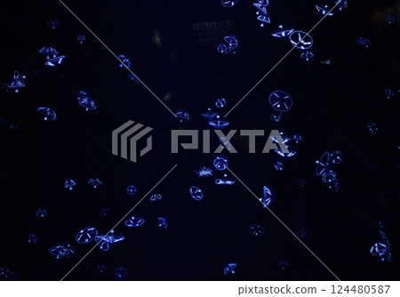 藍光中漂浮的水母的奇幻身影 藍光中漂浮的水母的奇幻身影 124480587