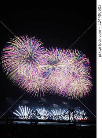 A bridge and fireworks in the night sky 124480602