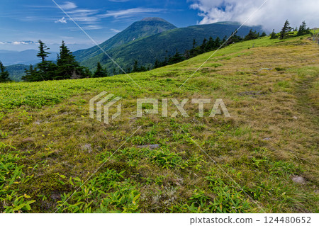 Mount Tateshina seen from Mount Futago in late summer in the northern Yatsugatake mountains 124480652