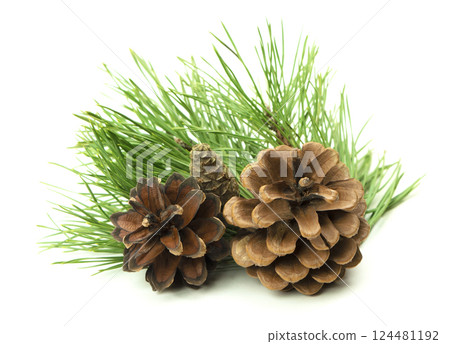 Close-up of green fir branches and pine cones in a Christmas composition, isolated on a white background with soft shadow. Close-up of green fir branches and pine cones in a Christmas composition, isolated on a white background with soft shadow. 124481192