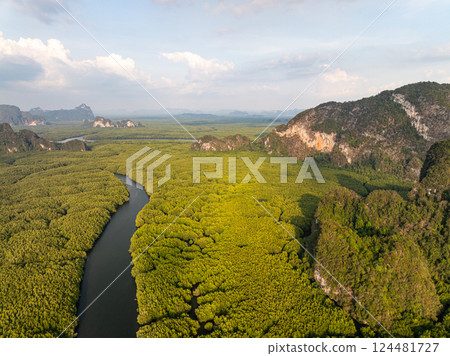 Amazing abundant mangrove forest,Aerial view of forest trees Rainforest ecosystem and healthy environment background,Texture of green trees forest top down,High angle view Amazing abundant mangrove forest,Aerial view of forest trees Rainforest ecosystem and healthy environment background,Texture of green trees forest top down,High angle view 124481727