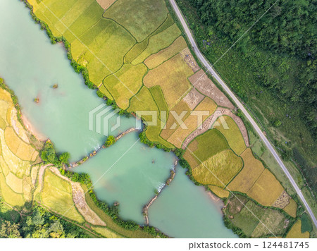 Aerial wide angle view of landscape with rice field at Phong Nam village in Trung Khanh, Cao Bang province,Northern Vietnam Aerial wide angle view of landscape with rice field at Phong Nam village in Trung Khanh, Cao Bang province,Northern Vietnam 124481745