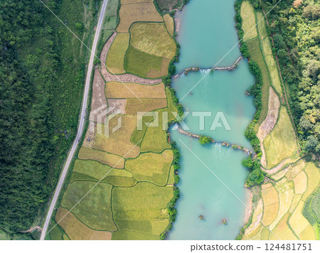 Aerial wide angle view of landscape with rice field at Phong Nam village in Trung Khanh, Cao Bang province,Northern Vietnam 124481751