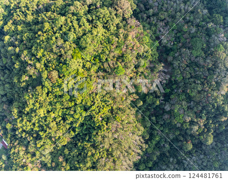 Beautiful tropical rainforest in summer season image by Aerial view drone shot, high angle view Beautiful tropical rainforest in summer season image by Aerial view drone shot, high angle view 124481761