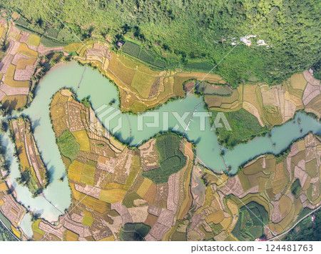 Aerial wide angle view of landscape with rice field at Phong Nam village in Trung Khanh, Cao Bang province,Northern Vietnam 124481763