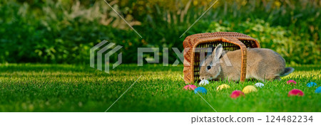 A playful gray rabbit emerges from a wicker basket on a green lawn, surrounded by vibrant Easter eggs, capturing a festive springtime mood. A playful gray rabbit emerges from a wicker basket on a green lawn, surrounded by vibrant Easter eggs, capturing a festive springtime mood. 124482234