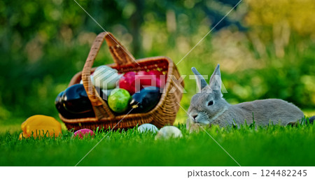 Cozy rabbit resting on green grass near a wicker basket filled with fresh vegetables, including bell peppers, eggplants, and cucumbers, with some produce scattered around in a countryside setting. 124482245