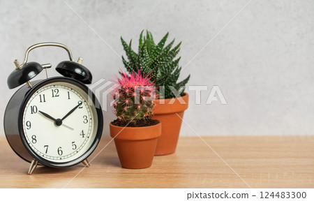 Black alarm clock showing nine o'clock with cactus and succulents in terracotta pots on wooden table Black alarm clock showing nine o'clock with cactus and succulents in terracotta pots on wooden table 124483300