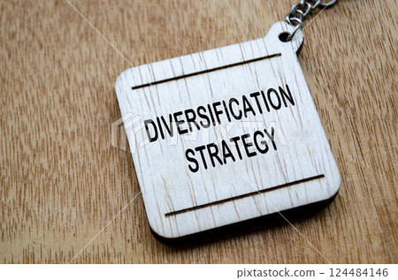 Top view of Diversification Strategy text on wooden block. Diversification strategy concept. 124484146