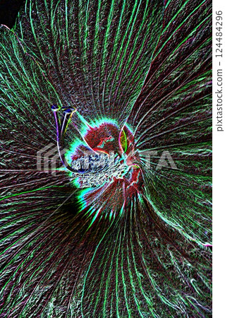 American fly American fly 124484296