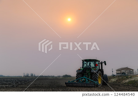 Plowing rice fields with a large tractor early in the morning 124484540