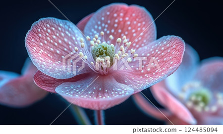 Intricate pink flower details in light 124485094
