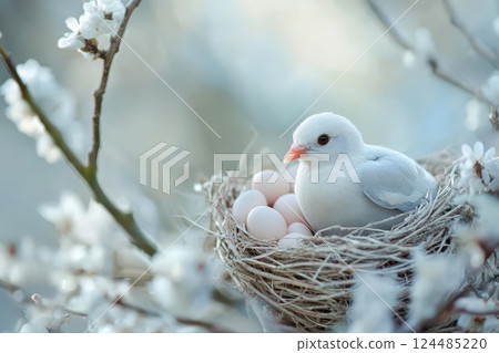 Bird sitting on nest with eggs in spring blossoms 124485220