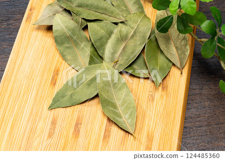 Leaves of Laurie 124485360