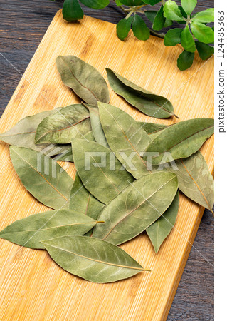 Leaves of Laurie 124485363