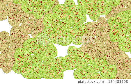 colorful green and brown tropical leaves spring nature pattern background colorful green and brown tropical leaves spring nature pattern background 124485398
