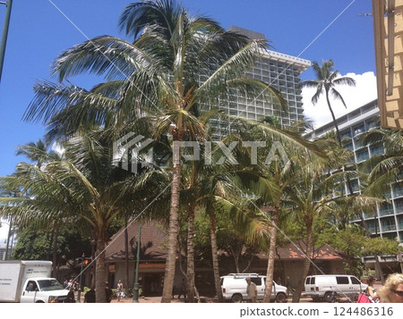 Palm tree and Hawaii building Palm tree and Hawaii building 124486316