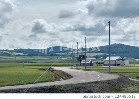鄉村之路:北海道的夏天 鄉村之路:北海道的夏天 124486512