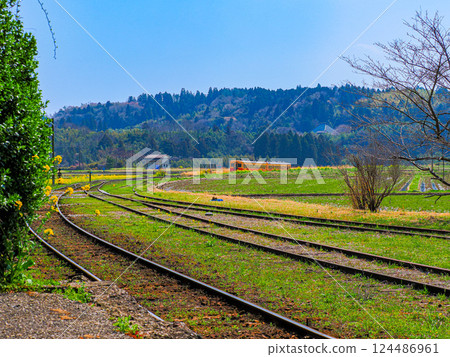 Spring rape blossoms at Kominato Railway Kazusatsurumai Station Spring rape blossoms at Kominato Railway Kazusatsurumai Station 124486961