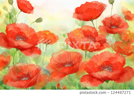 Poppy *Spring flower background material 124487271
