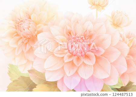 Dahlia *Spring flower background material 124487513