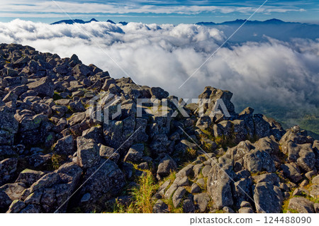 從蓼科山眺望的早晨雲海、八岳和南阿爾卑斯 從蓼科山眺望的早晨雲海、八岳和南阿爾卑斯 124488090