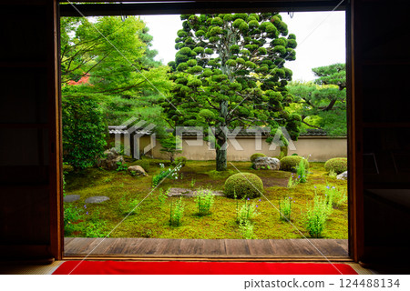 京都Tenchinin 124488134