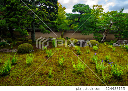 Kyoto Tenchinin Kyoto Tenchinin 124488135