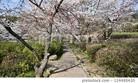 Takeno Kiba Park（長崎縣大村市） 124488420